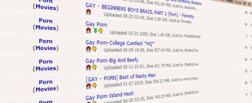 gayporn-bittorrent.png