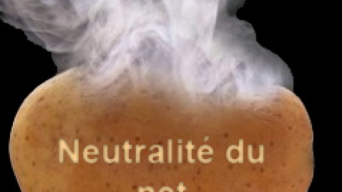 patatechaude-neutralite.jpg