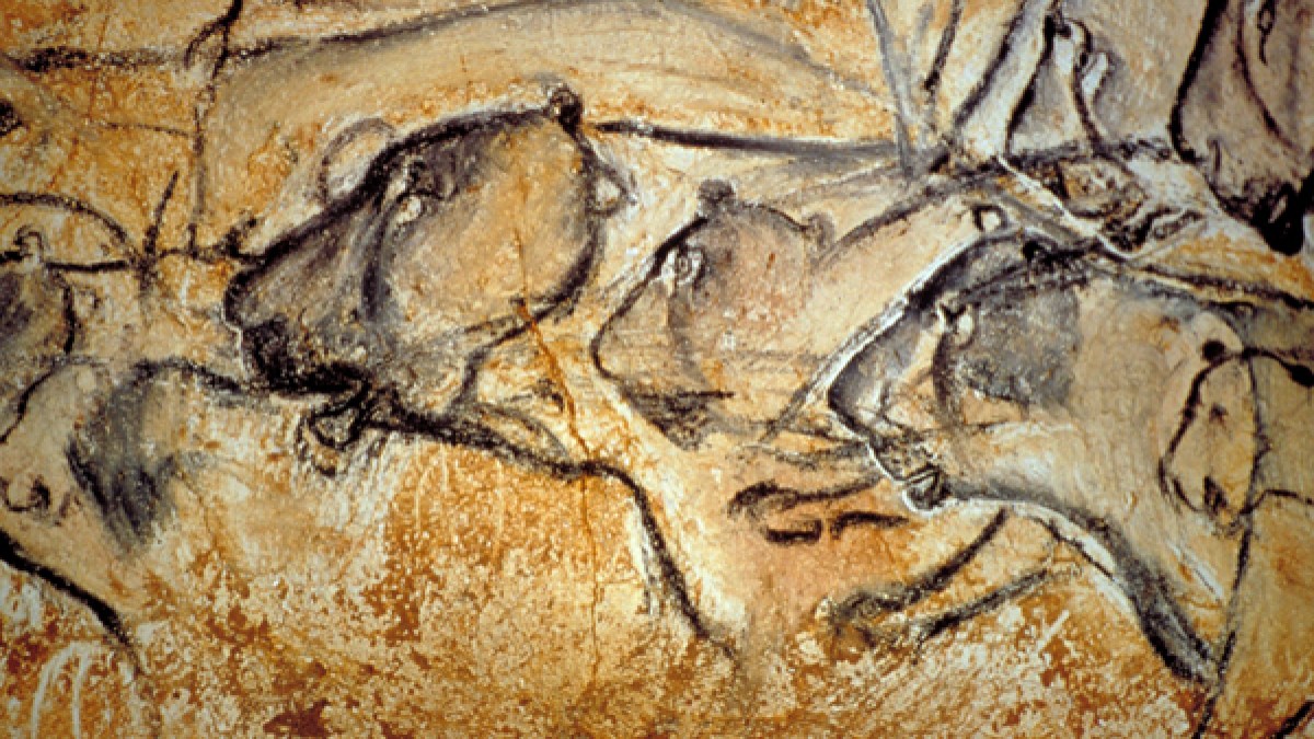 RTEmagicP_Chauvet_DRAC_Rhone_Alpes_Ministere_Culture_Communication_txdam29631_225a57.jpg