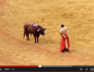 tauromachie.png