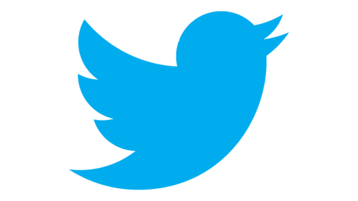 twitter-bird.png