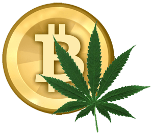 bitcoins-drogue.png