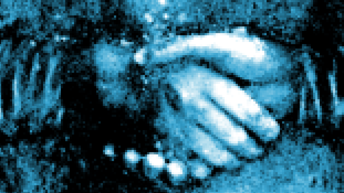 accord675.png