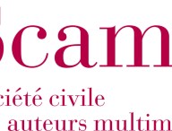 logo-scam.jpg