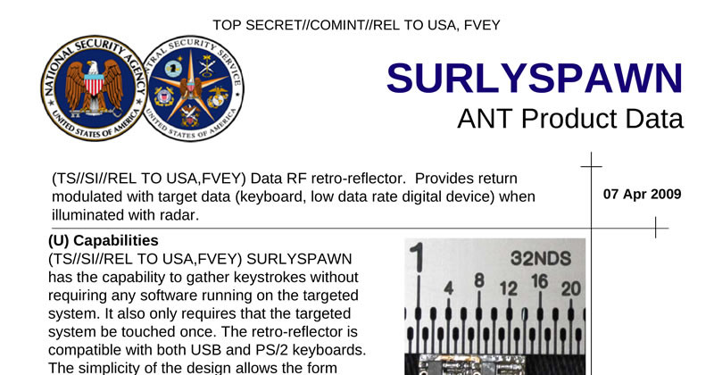 nsa-ant-surlyspawn.jpg