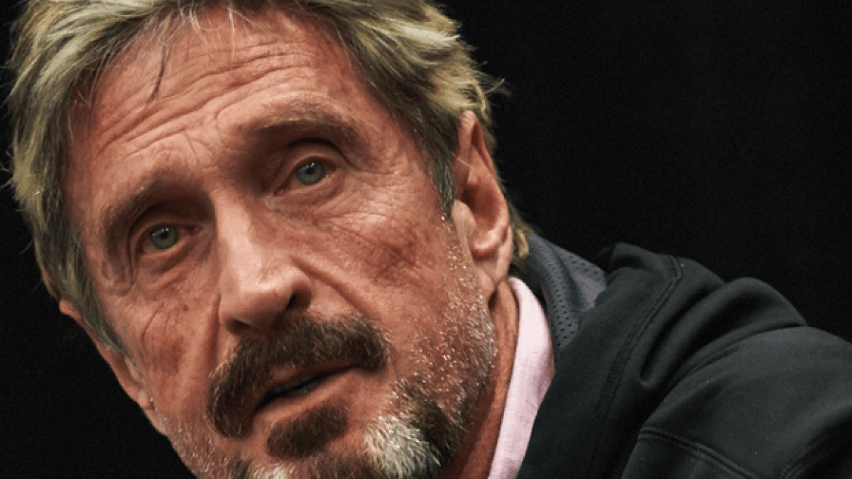 johnmcafee.png