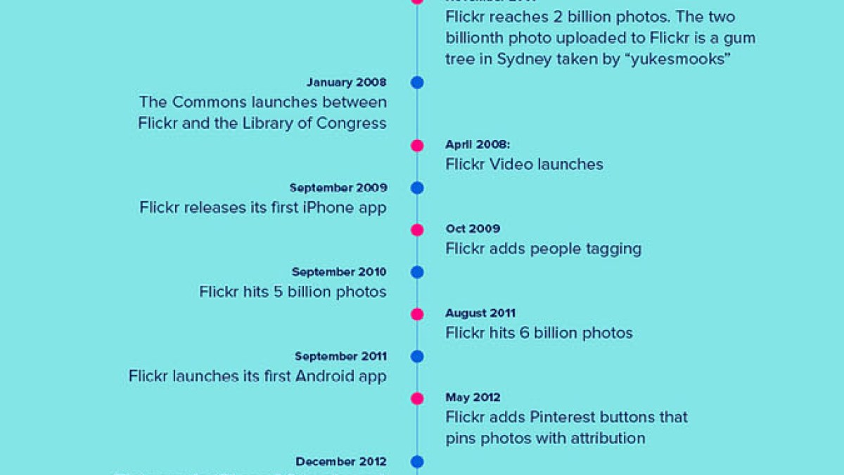 flickrinfographie.jpg