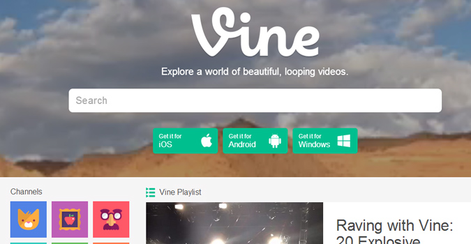 vine-675.jpg