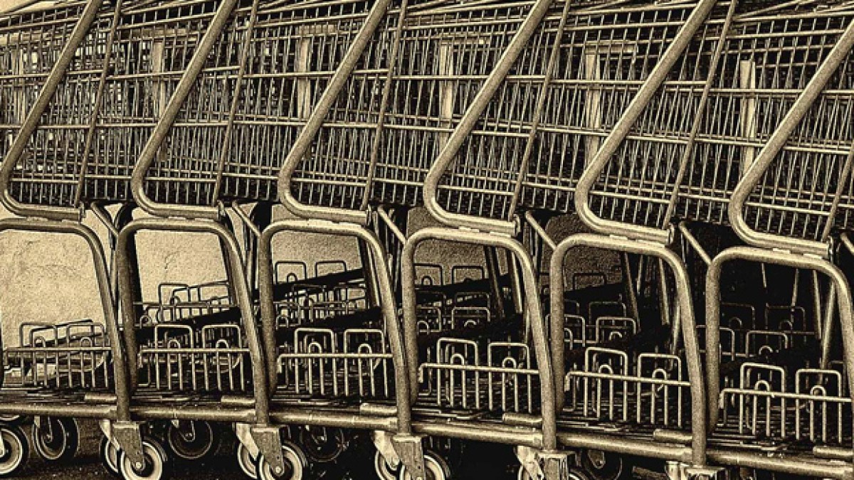shopping-chariots.jpg