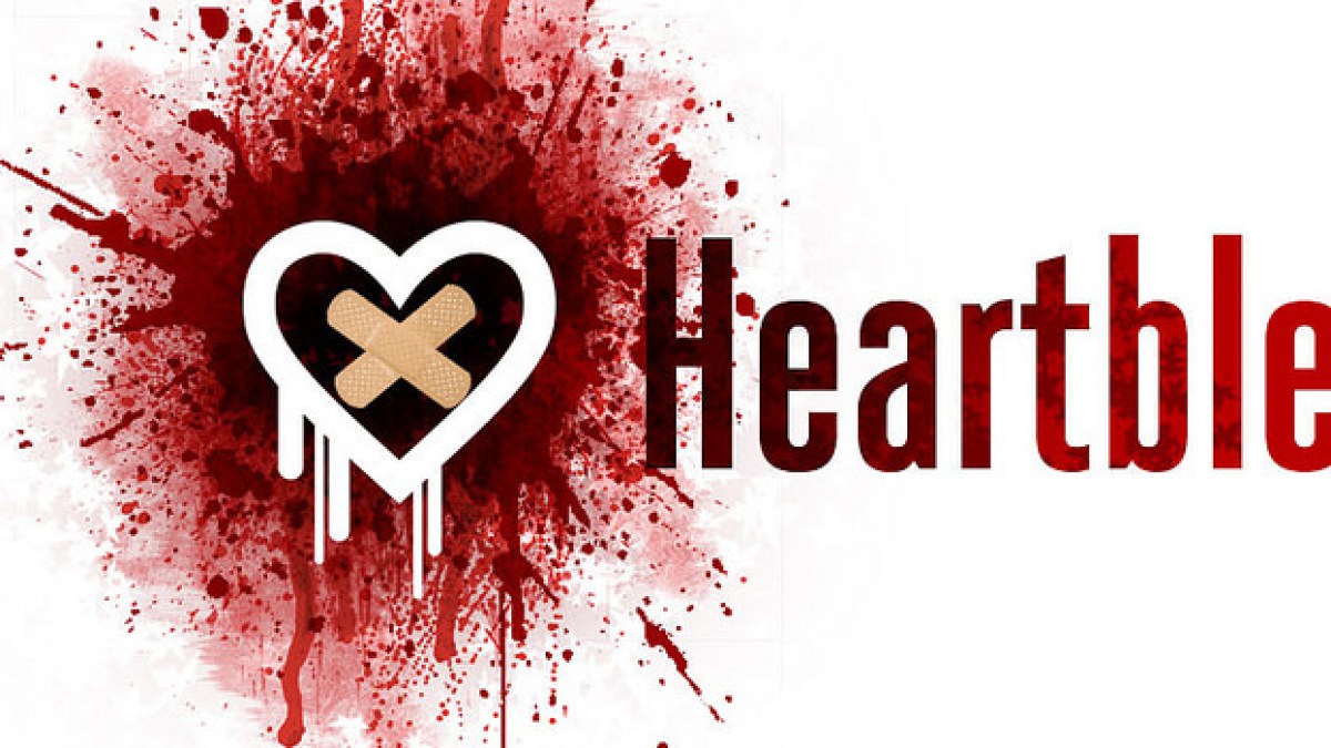 heartbleedb-675.jpg