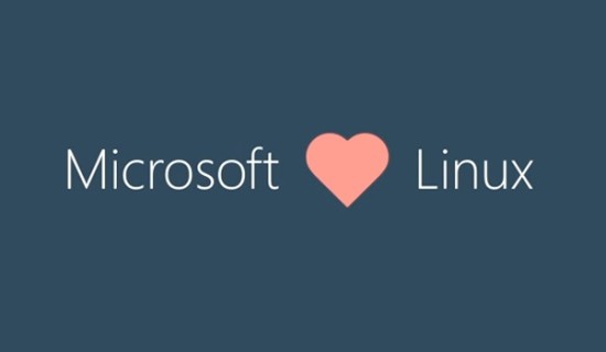microsoftlinux.jpg microsoftlinux.jpg