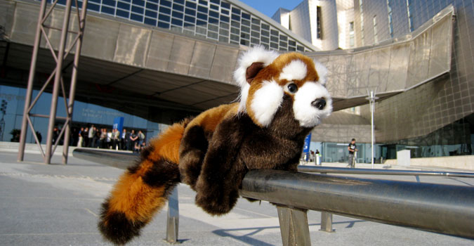 firefoxpeluche.jpg