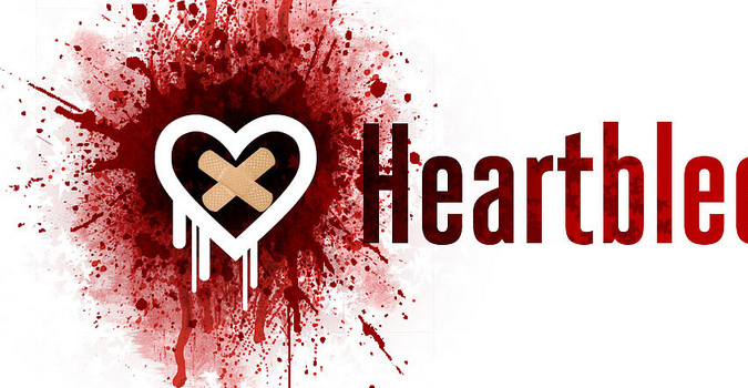 heartbleedb-675.jpg