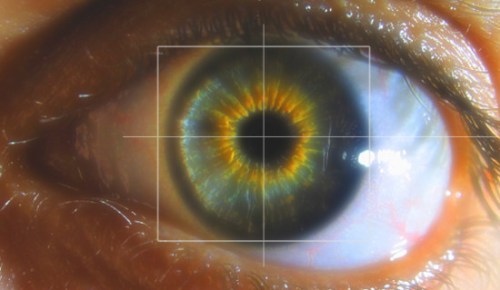 iris-oeil-biometrie.jpg