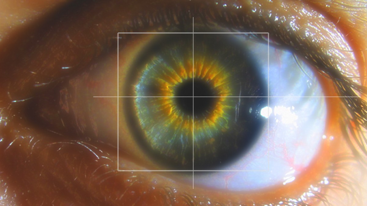 iris-oeil-biometrie.jpg