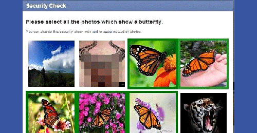 papillon-facebook-675.gif
