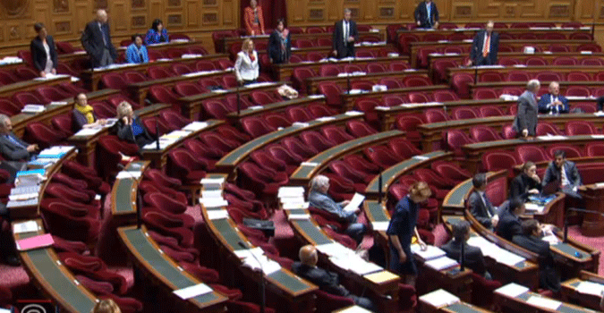 senat-google.gif