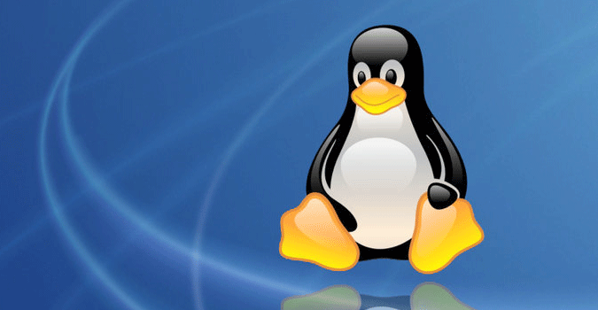 linux41.gif