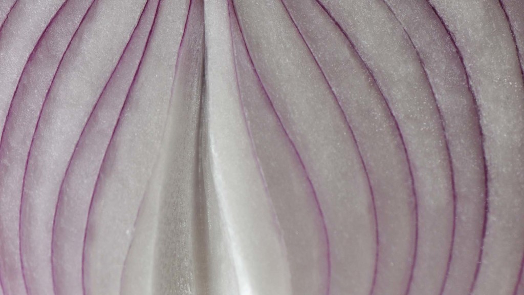 Sliced Onion