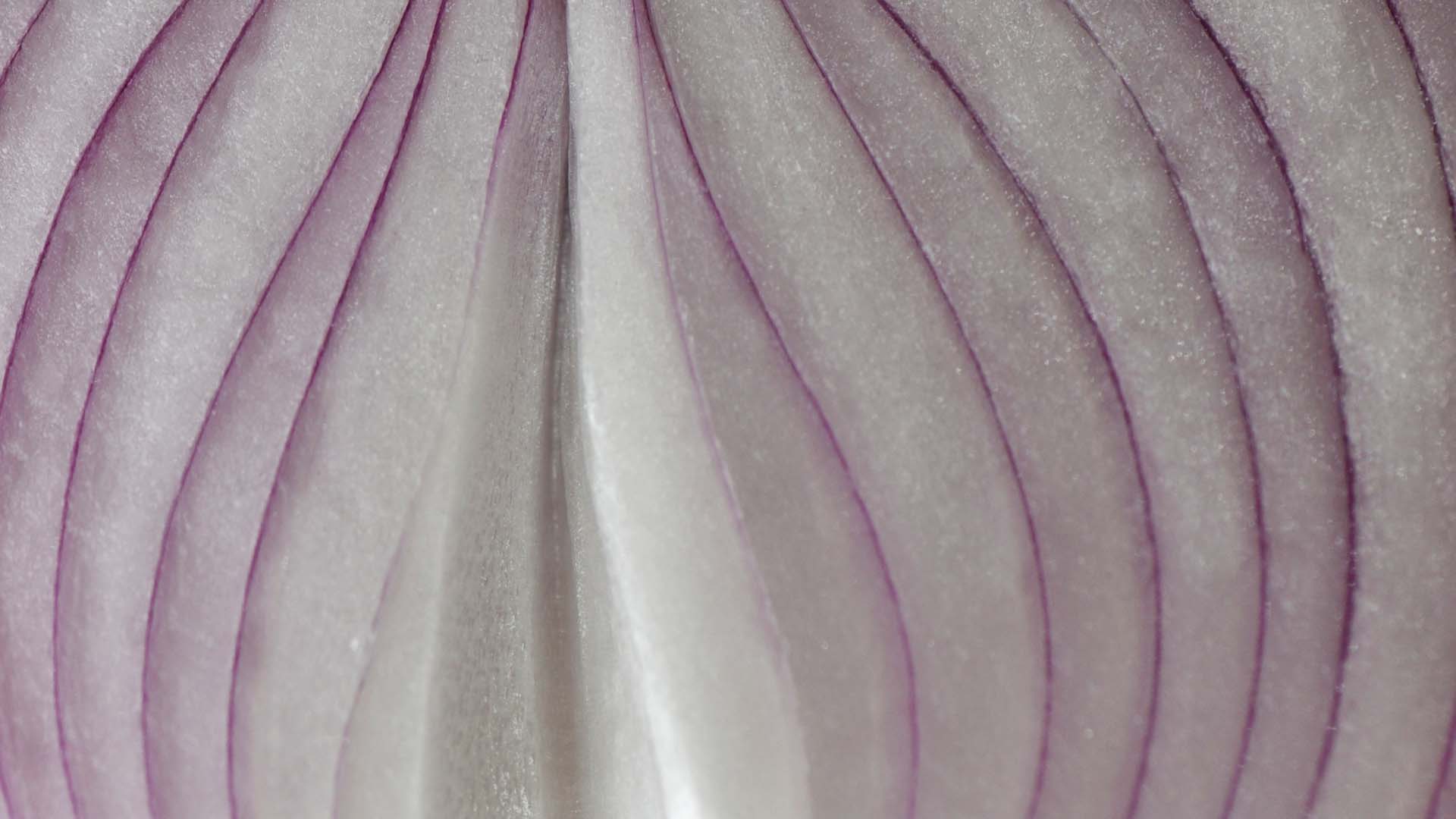 Sliced Onion Sliced Onion