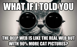 deep-web-cats