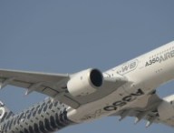 dubai_2015_-_day_2_-_a350_flying_display_3-cropped