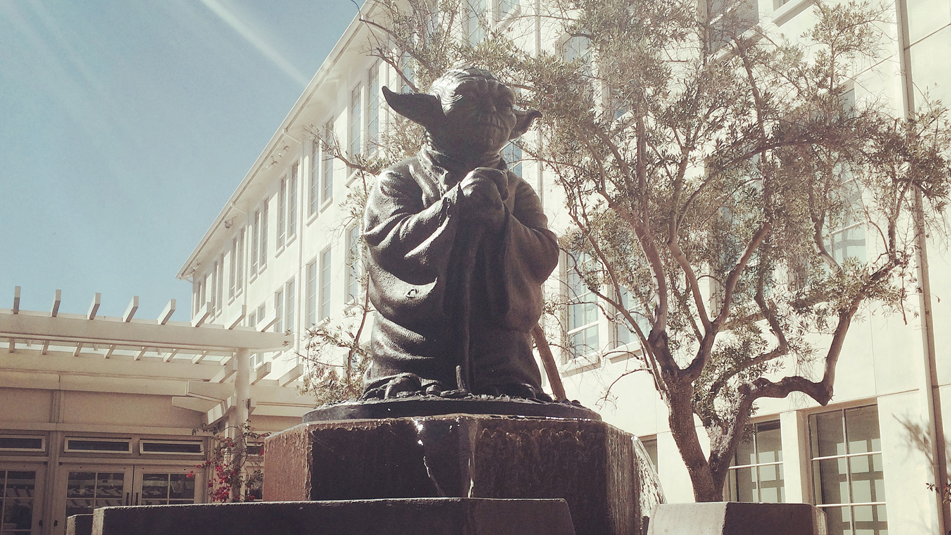 yoda yoda