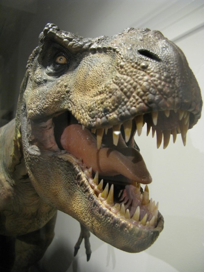 Le T-Rex de Jurassic Park... en vrai Le T-Rex de Jurassic Park... en vrai