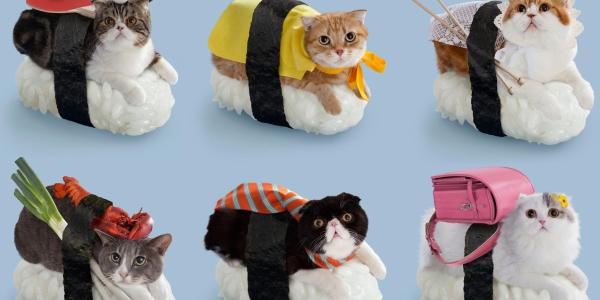 3 Mini Jeux Japonais Avec Des Chats Des Sushis Et Des Hamburgers