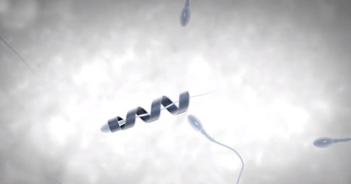 spermatozoide-robot