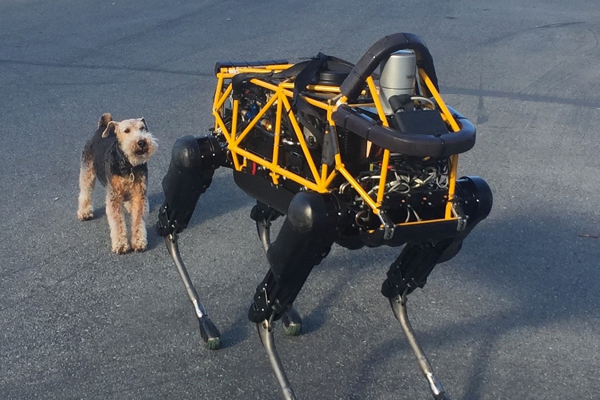 Chien robot