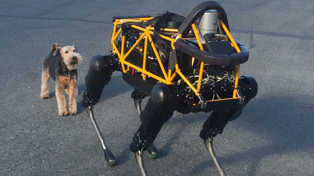 Chien robot