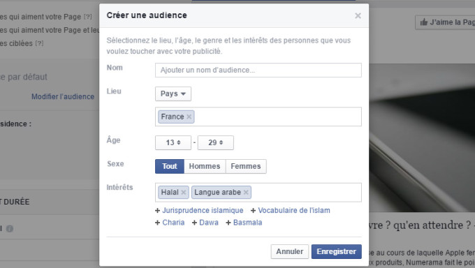 Création d'une campagne publicitaire sur Facebook. Il est possible d'ajouter jusqu'à 10 "centres d'intérêt" Création d'une campagne publicitaire sur Facebook. Il est possible d'ajouter jusqu'à 10 "centres d'intérêt"