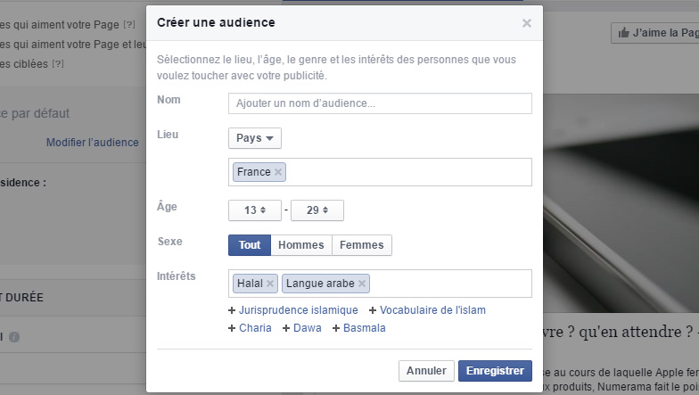 Création d'une campagne publicitaire sur Facebook. Il est possible d'ajouter jusqu'à 10 "centres d'intérêt"