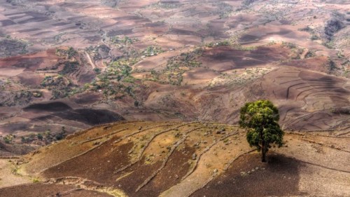 Paysage éthiopien