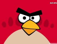 angry_birds___red_bird-wallpaper-1920×1200