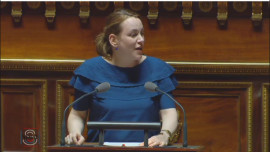 Axelle Lemaire, secrétaire d'État au numérique, le 26 avril 2016 au Sénat. Axelle Lemaire, secrétaire d'État au numérique, le 26 avril 2016 au Sénat.