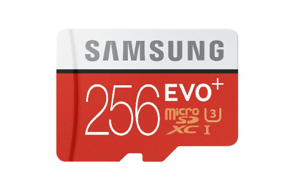 Carte Evo Plus 256 Go