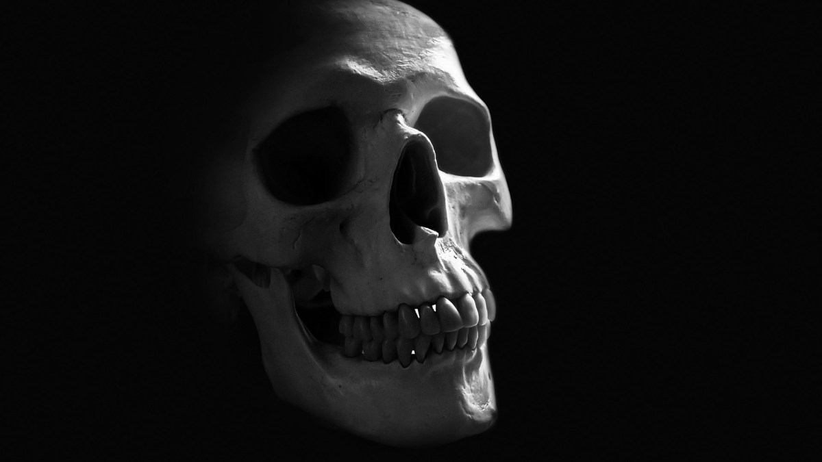 human-skull