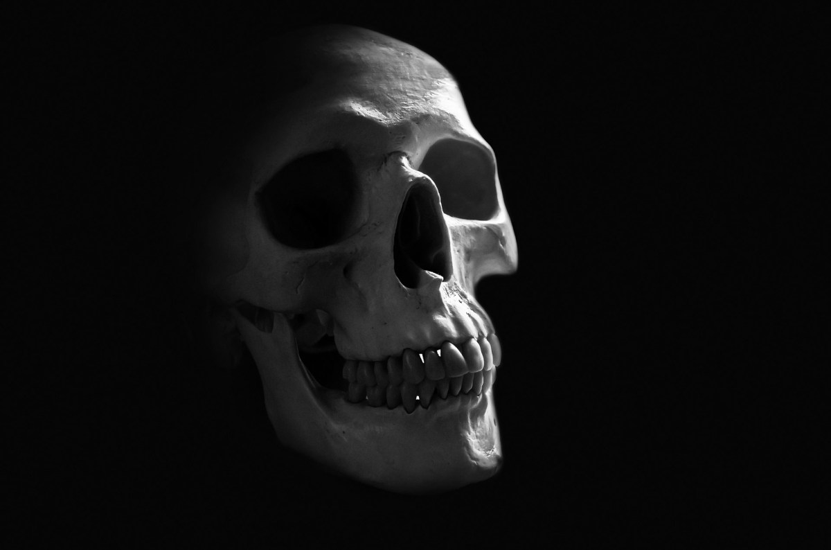 human-skull