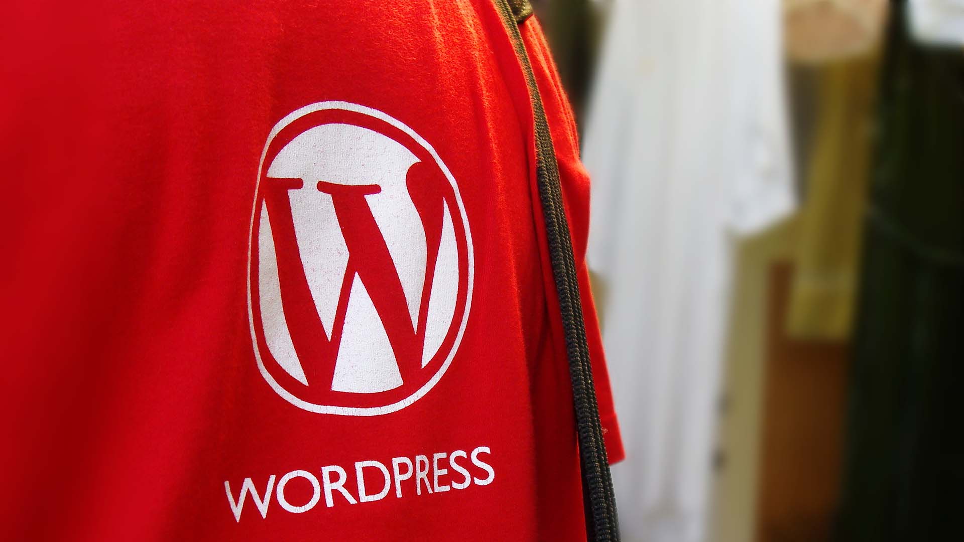 WordPress WordPress