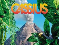 Cassius-Pharrell-Ibifornia