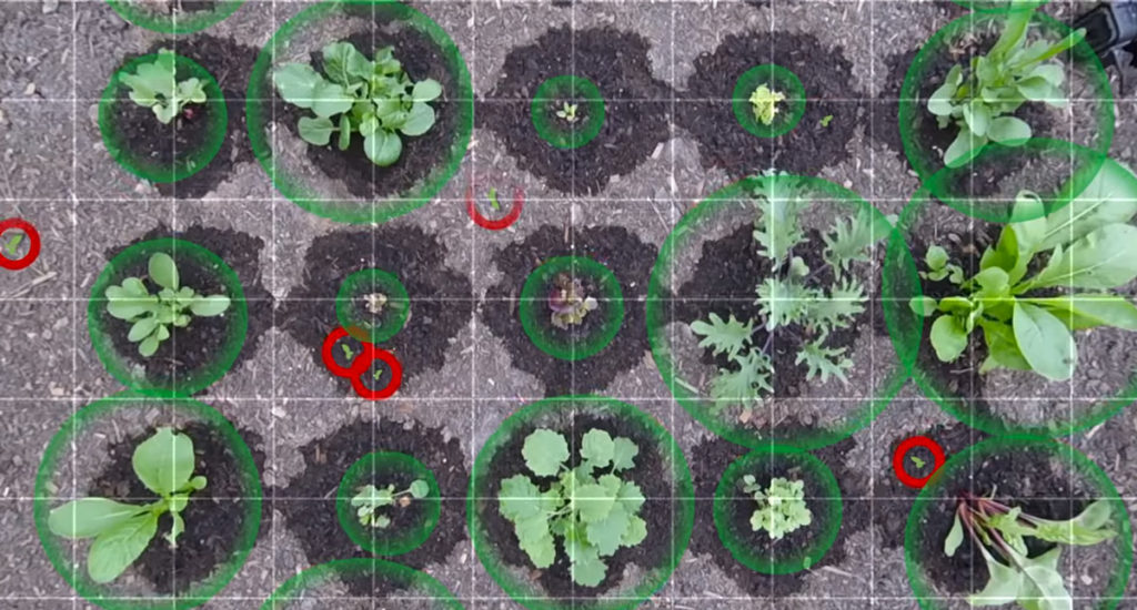 detection-mauvaises-herbes detection-mauvaises-herbes