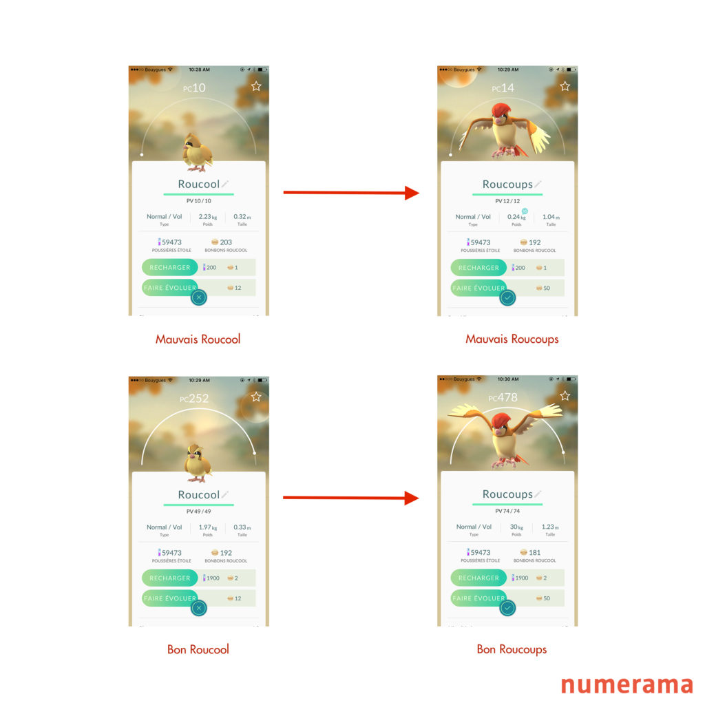 evolution-pokemon-go