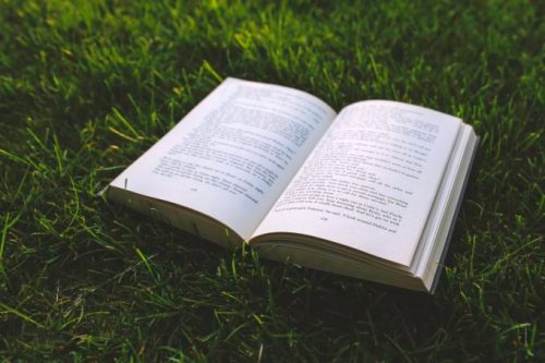 nature-grass-green-book