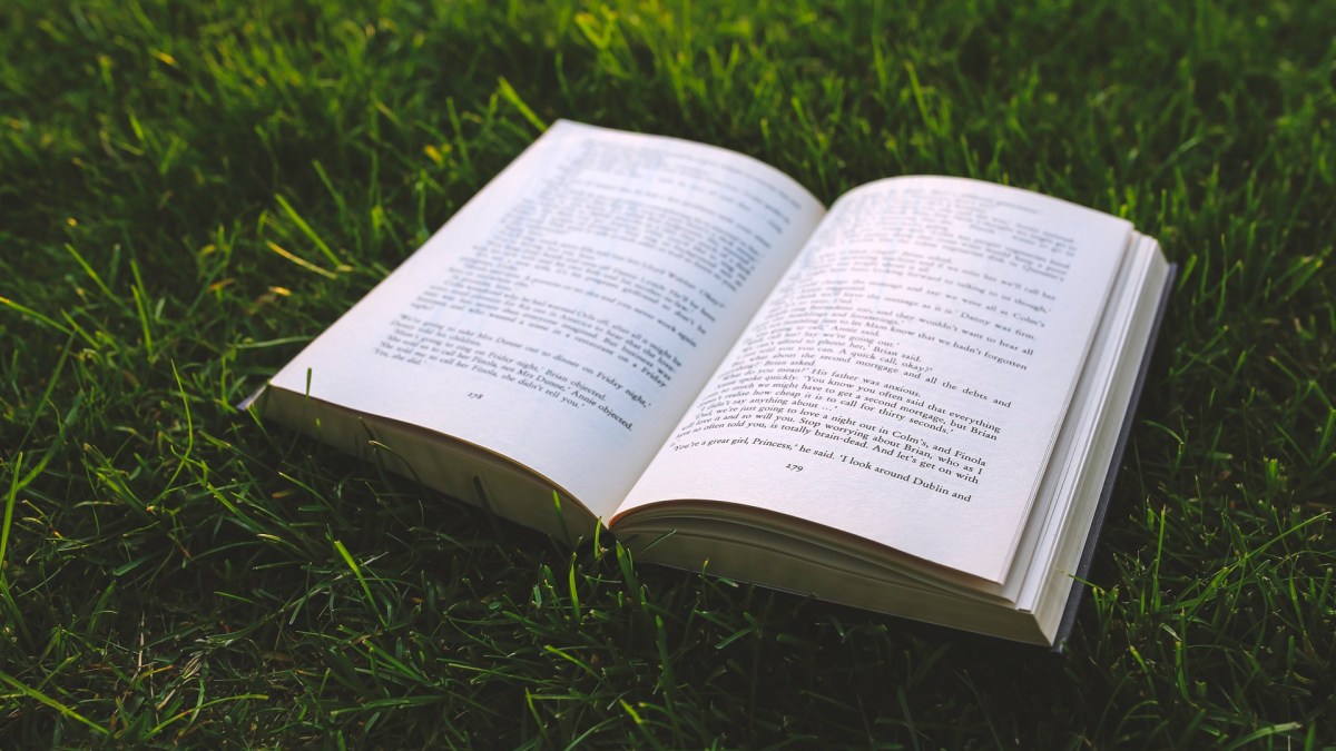 nature-grass-green-book