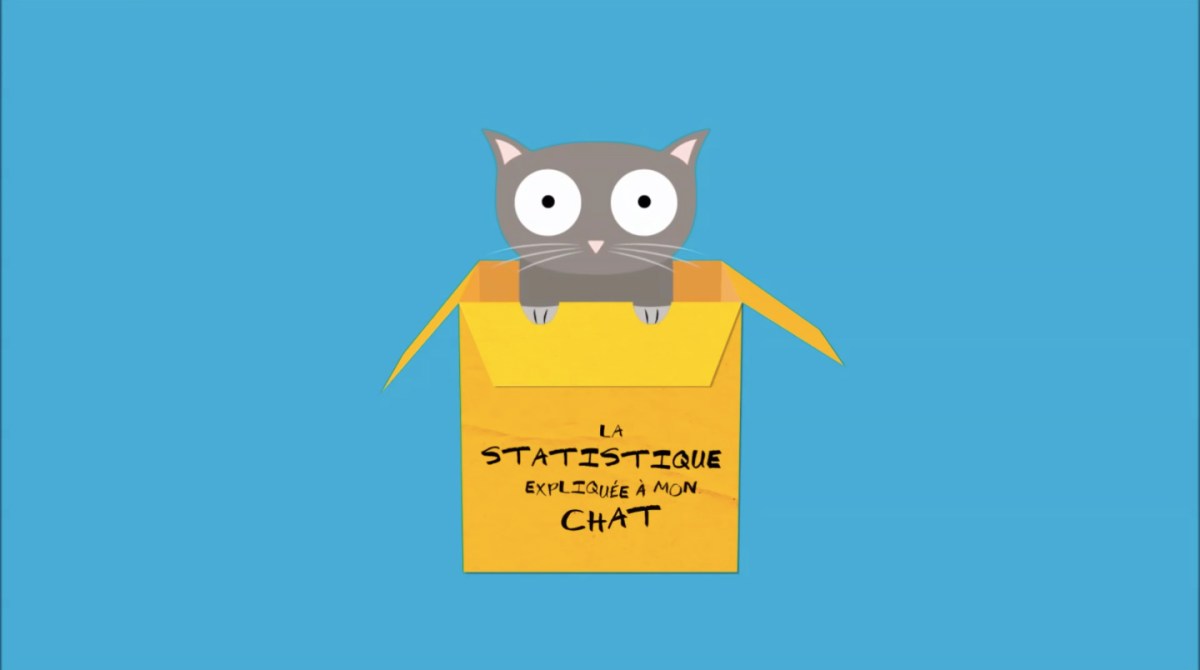 une-statistique-chat