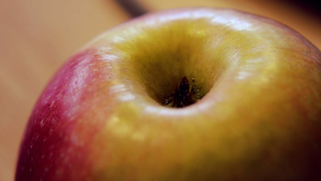 pomme-fruit pomme-fruit