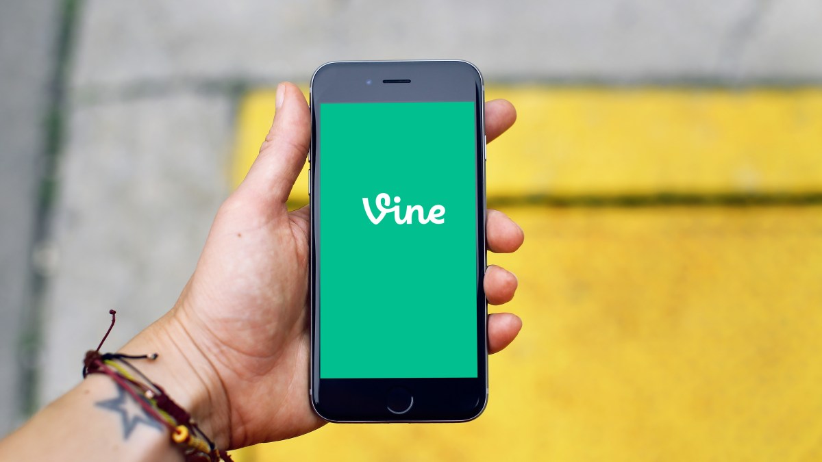 vine