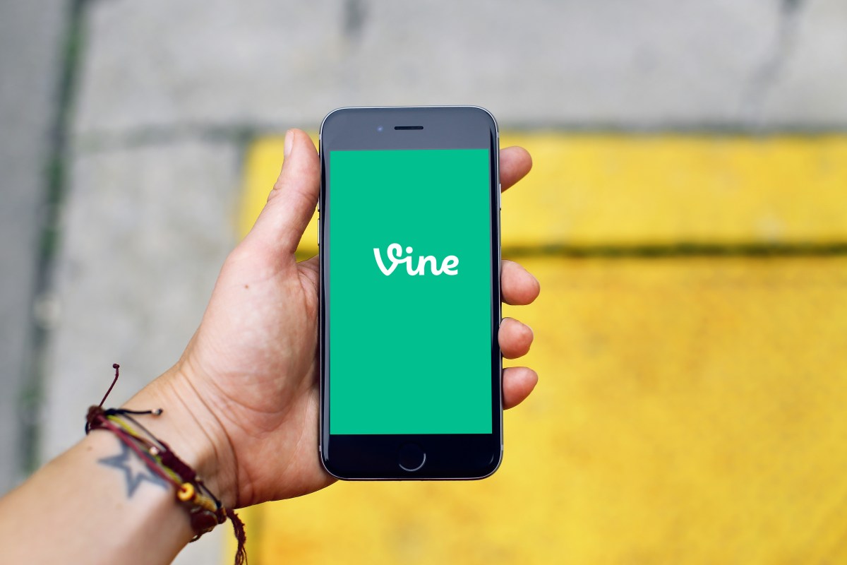 vine